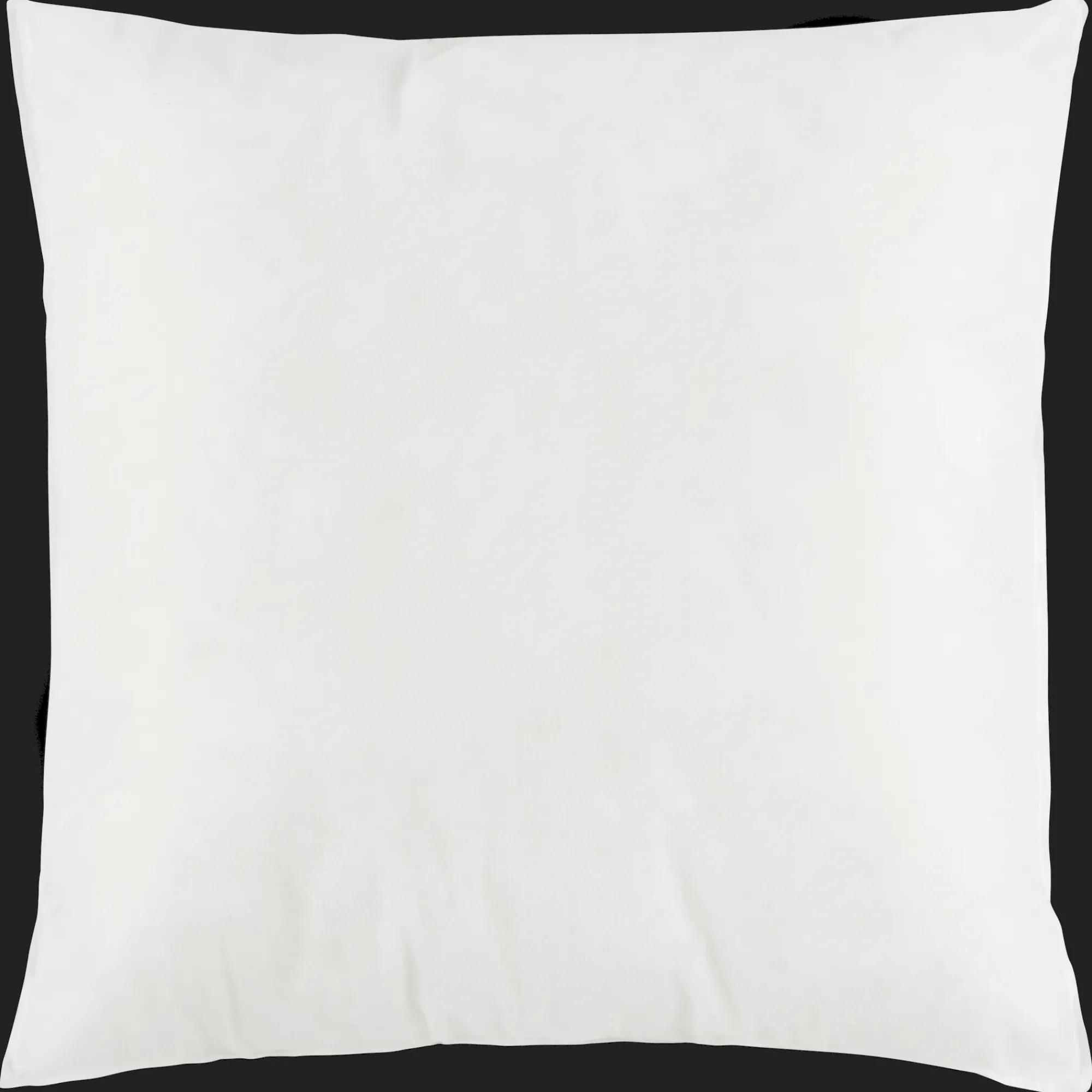 Bouclair Pillow Insert* Decorative Throw Pillows