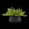 Bouclair Pot with Artificial Fern* Artificial Plants