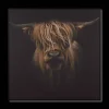 Bouclair Scottish Highland Cattle Framed Printed Canvas* Printed & Photography Wall Art Canvases