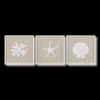 Bouclair Set of 3 Seashells Framed Art* Wall Decorations