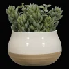 Bouclair Succulant in Two Tone Pot* Artificial Plants