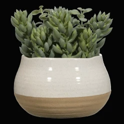 Bouclair Succulant in Two Tone Pot* Artificial Plants