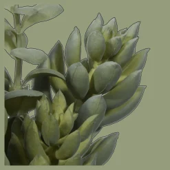 Bouclair Succulant in Two Tone Pot* Artificial Plants