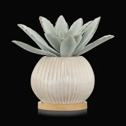 Bouclair Succulent in Ceramic Pot* Artificial Plants