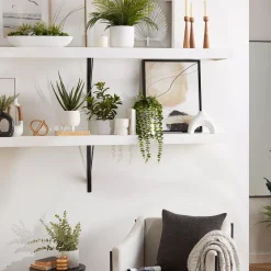 Bouclair Succulents in Cement Tray* Artificial Plants