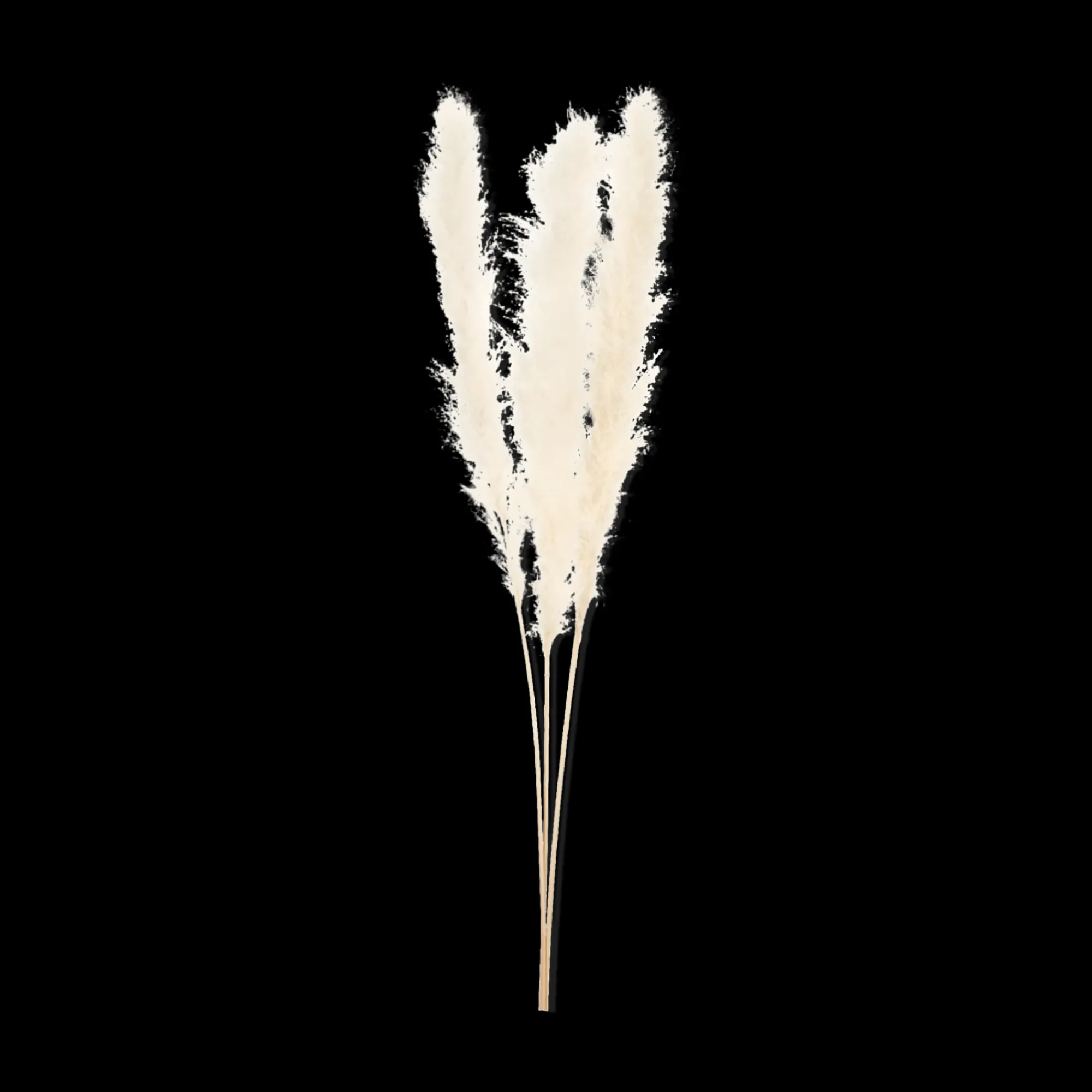 Bouclair Tall Pampas Stem 150 cm* Branches|Artificial Flowers