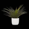 Bouclair Textured Ceramic Potted Tropical Plant* Artificial Plants
