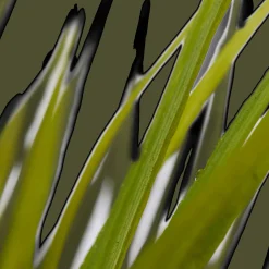 Bouclair Textured Ceramic Potted Tropical Plant* Artificial Plants