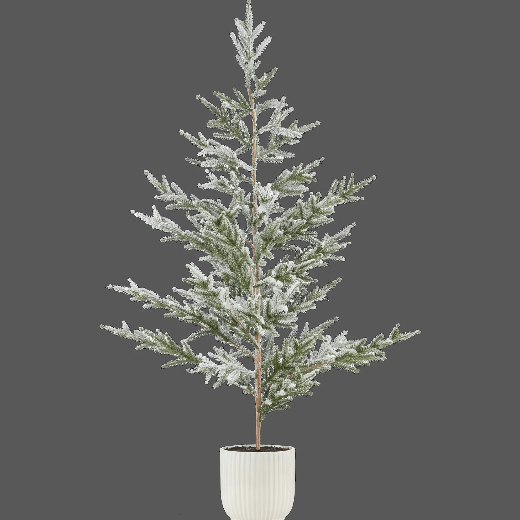 Bouclair Xmas Tree in Ceramic Pot* Seasonal Greenery