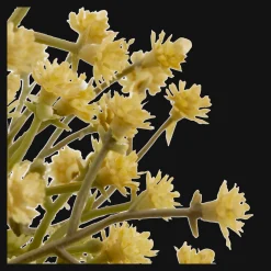 Bouclair Yellow Gypsohila in Pot* Artificial Plants